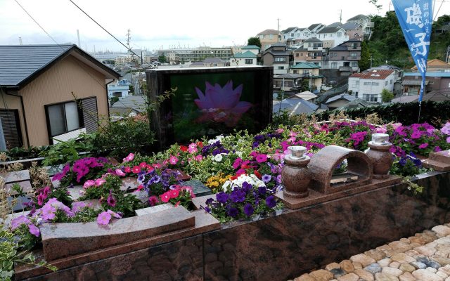 海が見える樹木葬